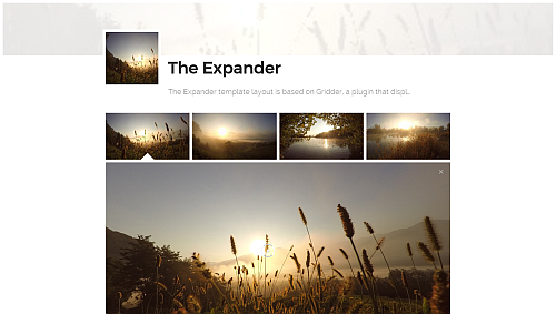 The Expander Template